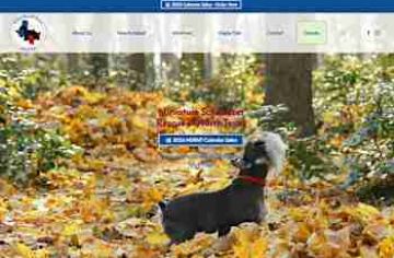 MSRNT Miniature Schnauzer Rescue of North Texas, Rescuing and Rehoming Schnauzers Since 2006 - msrnt.com